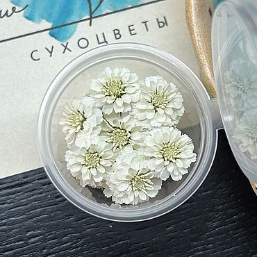 Материалы для творчества ручной работы. Ярмарка Мастеров - ручная работа Сухоцвет жемчужница 20шт/10мл. Handmade.