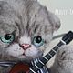  Мартовский котик с гитарой, Тедди Зверята, Курагино,  Фото №1