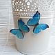 Transparent Earrings Blue blue Butterfly Resin Eco Boho style, Earrings, Taganrog,  Фото №1