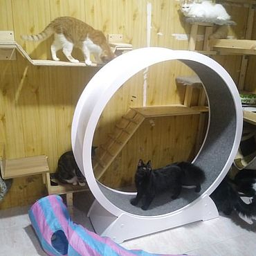 Беговое колесо для кошек – купить на Ярмарке Мастеров | Беговое колесо для  кошек по выгодным ценам, доставка в Москве и по России