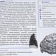 Железный метеорит Дронино 17гр. Элементы интерьера. MeteoritеStyle. Ярмарка Мастеров.  Фото №4