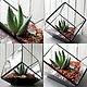 The Floriana. Interior Floriana for plants.Cube. Decoration for flower pots. Glass Flowers. My Livemaster. Фото №4