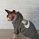 Clothing for cats ' Sweatshirt with fur inside Nike', Pet clothes, Biisk,  Фото №1