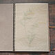 Herbarium album on a Gerbera spring (15 craft sheets). Photo albums. Albums and notebooks (Anna). My Livemaster. Фото №4
