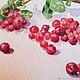 Брусничкин хоровод. Акварельная миниатюра, натюрморт. Картины. София (Floriandria). Ярмарка Мастеров.  Фото №4