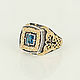 Order Ring 'Gift of the Valhvov' KSZ 036. Persian (persianjewelry) (persianjewelry). Livemaster. . Ring Фото №3
