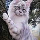  Кот Мейн Кун, Интерьерная кукла, Симферополь,  Фото №1