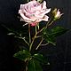 Роза садовая из полимерной глины, холодный фарфор, Букеты, Уфа,  Фото №1