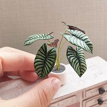 Куклы и игрушки ручной работы. Ярмарка Мастеров - ручная работа Кукольные цветы Алоказия Небула большая в горшочке. Handmade.