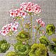 Embroidered stitch pattern 'Rose Geranium', Pictures, Novorossiysk,  Фото №1