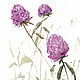 'Clover' watercolor (flowers, lilac). Pictures. Nadezda Perova. My Livemaster. Фото №4