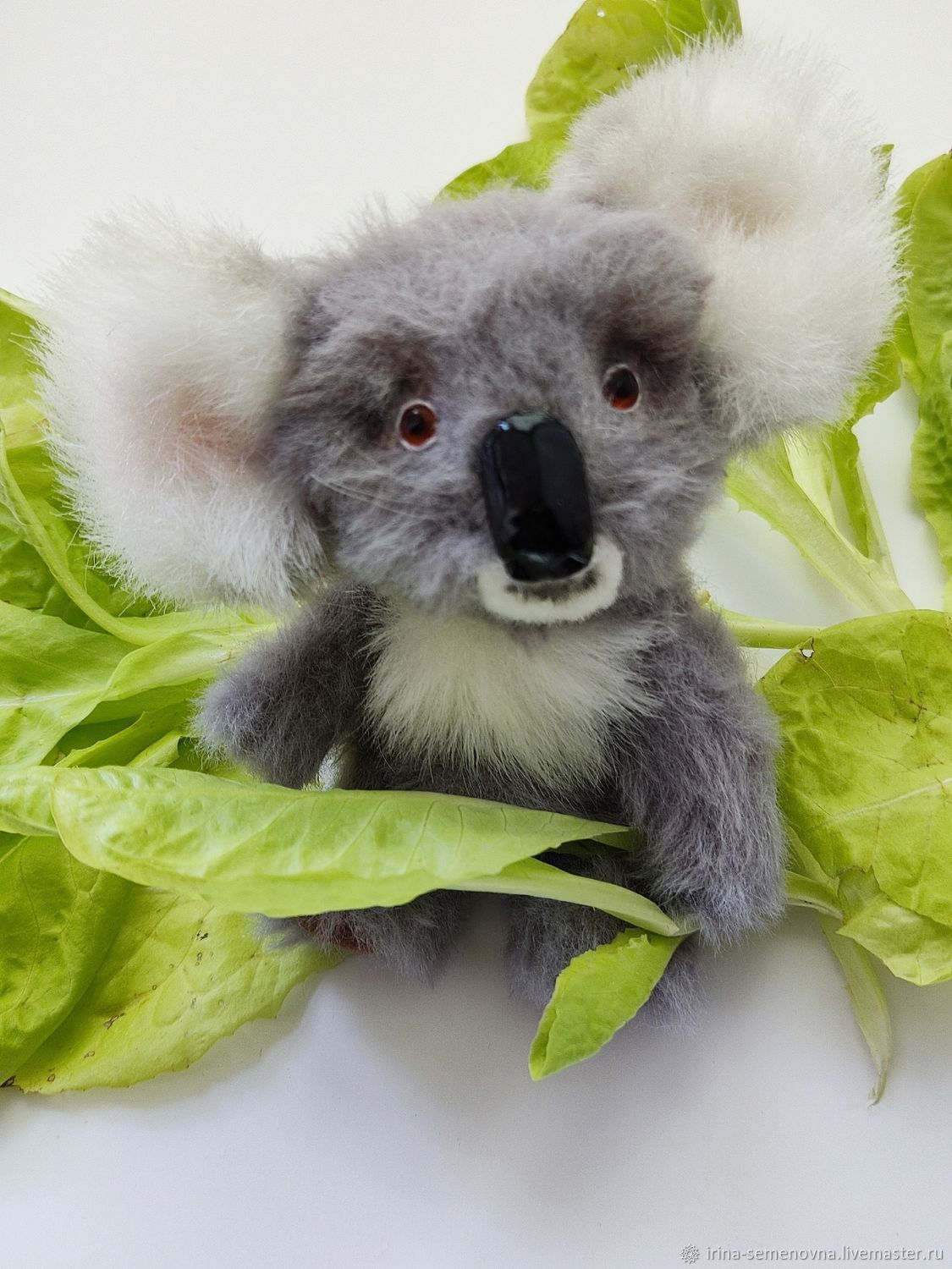 Teddy koala on sale