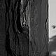Диптих Black. Картины. Natalya Keller | art & decor. Ярмарка Мастеров.  Фото №4