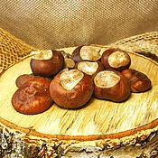 Материалы для творчества handmade. Livemaster - original item Horse chestnut fruit. Handmade.