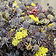 Order Bouquets of thistles with meadow grasses No. №1. Ekostil. Livemaster. . Bouquets Фото №3