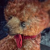 Teddy bear Claus