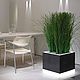 Grass stabilized, Design, Belgorod,  Фото №1