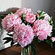  Букет розовых пионов из холодного фарфора, Цветы, Тбилисская,  Фото №1