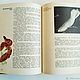 Stories about amphibians and fish, a Book from the animal World, 1974. Vintage books. Ulitka. My Livemaster. Фото №5