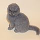 Scottish fold cat. Stuffed Toys. Anna Petinati- Live toys handmade. Online shopping on My Livemaster.  Фото №2
