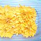 Керрия, диаметр цветов больше 3 см, Цветы сухие и стабилизированные, Краснодар,  Фото №1