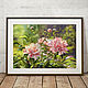 Oil painting Sunny day, peonies. Pictures. Stolypina Elena. Ярмарка Мастеров.  Фото №5
