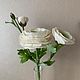 Ранункулюс с бутонами. Цветы. EXCLUSIVE BOUQUET. Ярмарка Мастеров.  Фото №4