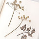 Album for herbarium Tenderness (mini-format, for 20 plants), Photo albums, Krasnogorsk,  Фото №1