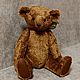   Мишка с ревуном. Мишки Тедди. Ручные мишки Тедди (tamedteddybears). Ярмарка Мастеров.  Фото №8