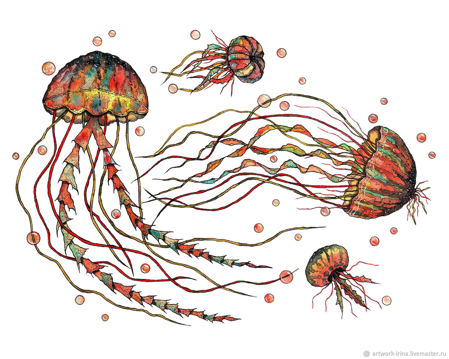 Медуза принт