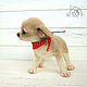 Needle felted toy Chihuahua dog. Felted Toy. Yulia Steklyannikova (julias14). My Livemaster. Фото №4