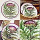 The painted porcelain.Plate ' Botanical prints. Thistle'. Plates. ArtFlera (artflera). My Livemaster. Фото №5