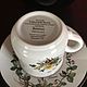 Coffee set 6 pairs., Villeroy&Boch Botanica, Luxembourg. Vintage sets. Dutch West - Indian Company. My Livemaster. Фото №6