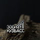 Badge 300 years Kuzbass silver 925. Badge. kirillyuvelir42rus (kirillyuvelir42). Online shopping on My Livemaster.  Фото №2
