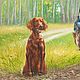  Ирландский красный сеттер и добыча. Картины. Сообщество художников LegacyArt. Интернет-магазин Ярмарка Мастеров.  Фото №2