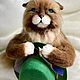 Realistic collectible toy cat 'Baron'. Stuffed Toys. zubarevairina. My Livemaster. Фото №4