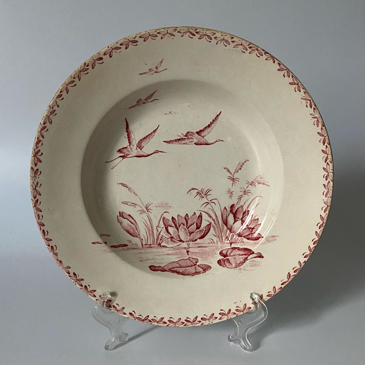 говорящие тарелки. скажи тарелка. «говорящая» тарелка. скажи тарелка. тарелка made in brasil.