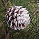 A large fir-cone - Christmas souvenir handmade, Tree, Moscow,  Фото №1