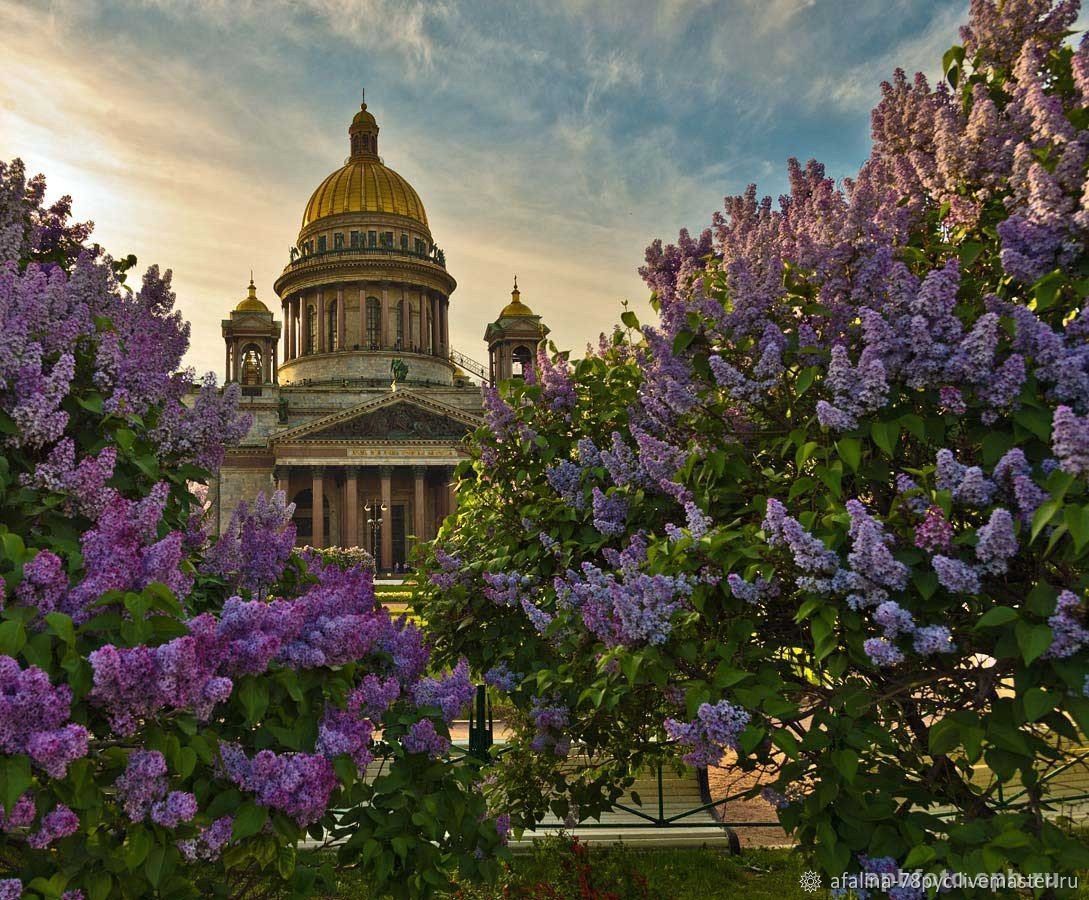 Картина по номерам по фото санкт петербург