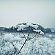 Snowberry fields photo pictures. Photo pictures nature. Fine art photographs. 'My s Muhtarom'. My Livemaster. Фото №4