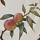 Винтаж: Evesham Royal Worcester фарфор антикварный. Кухонная утварь винтажная. сКЛАДъ. Ярмарка Мастеров.  Фото №11
