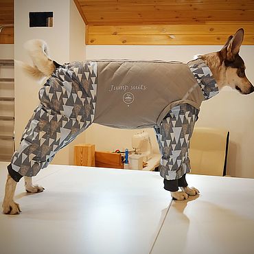 Ателье по пошиву одежды для собак | Салон - ателье «Лили Ким»