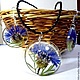 Set Cornflower summer (real cornflowers in jewelry resin), Jewelry Sets, Vitebsk,  Фото №1