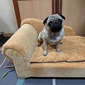 Зоотовары handmade. Livemaster - original item Sofa for a dog / cat to buy. Sofa for dogs order.. Handmade.