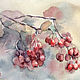 Картина с ягодами,  Боярышник, Оригинальная акварель, Картины, Москва,  Фото №1