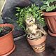 Корень Мандрагоры в горшке / Mandrake Root, Интерьерная кукла, Грозный,  Фото №1