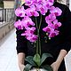 Орхидеи «как живые» (много фото с расцветками). Композиции. El flor : флористика и декор (Svetok26). Ярмарка Мастеров.  Фото №4