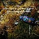 Avatar: Na’vi. Оберег. Stasya-frost. Ярмарка Мастеров.  Фото №4