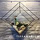 Order The Floriana 'Hypercube». tiffanarium (Tiffanarium). Livemaster. . Florariums Фото №3