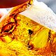Янтарь Инклюз с Насекомым 8,55гр. Камни. Glessit. Интернет-магазин Ярмарка Мастеров.  Фото №2
